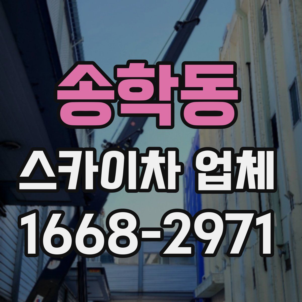 송학동 스카이차 업체