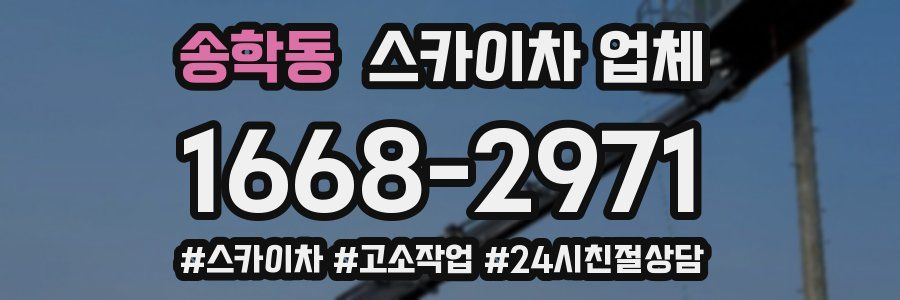 송학동 스카이차 업체
