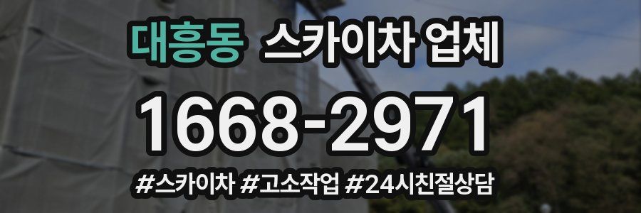 대흥동 스카이차 업체