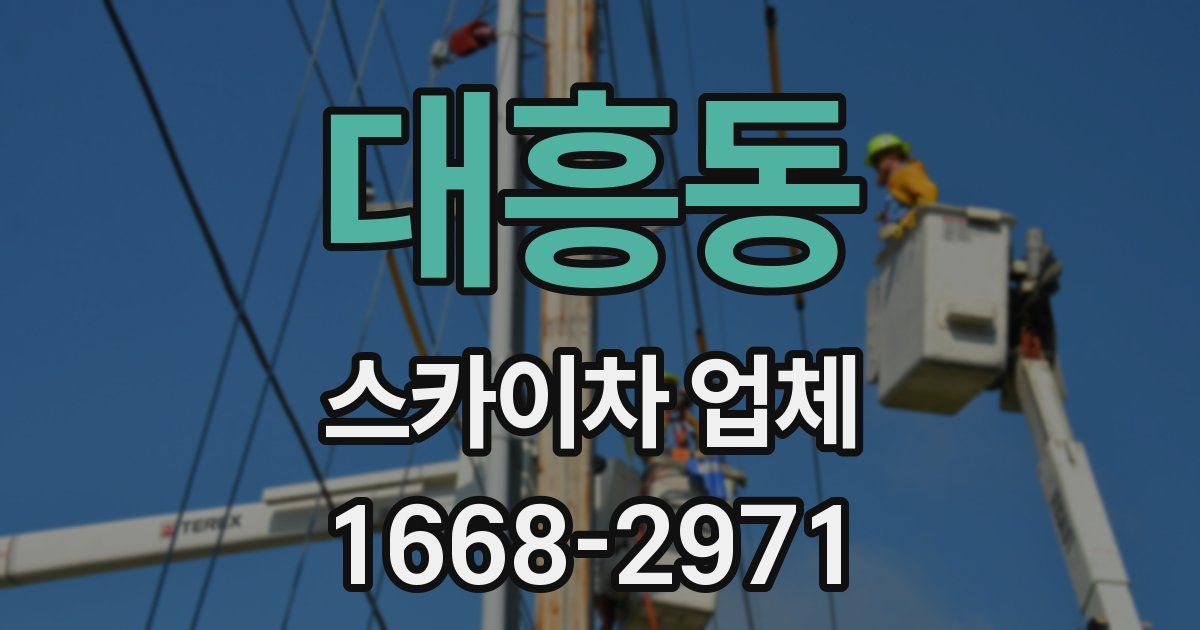대흥동 스카이차 업체