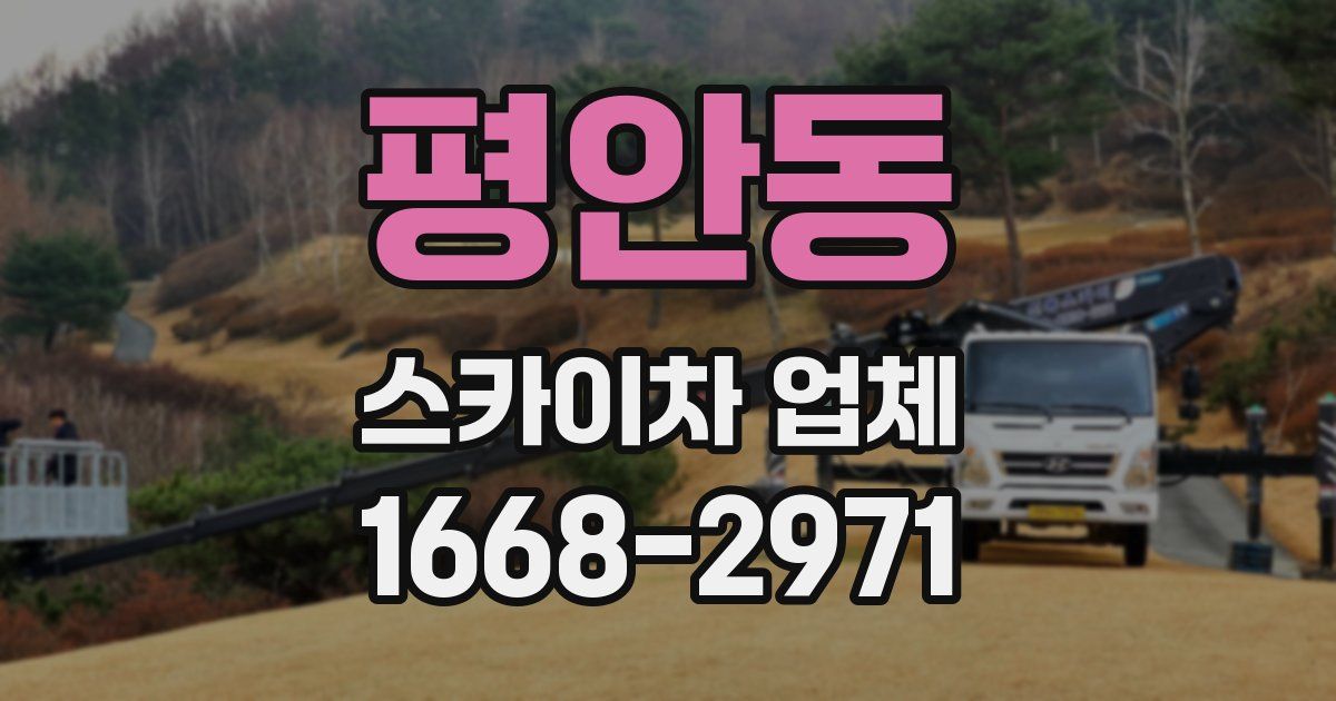평안동 스카이차 업체
