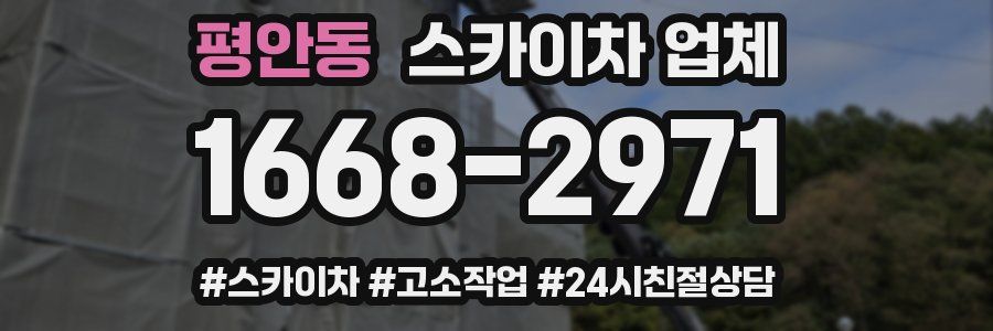 평안동 스카이차 업체