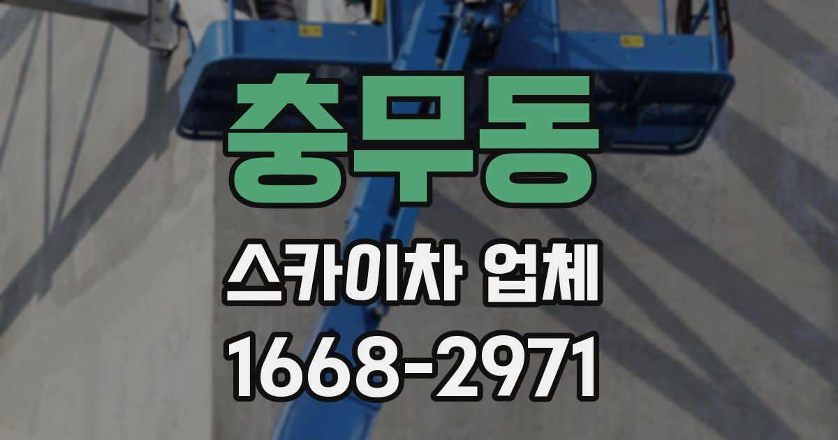 충무동 스카이차 업체