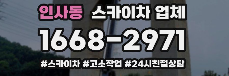 인사동 스카이차 업체
