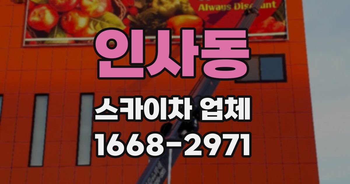 인사동 스카이차 업체