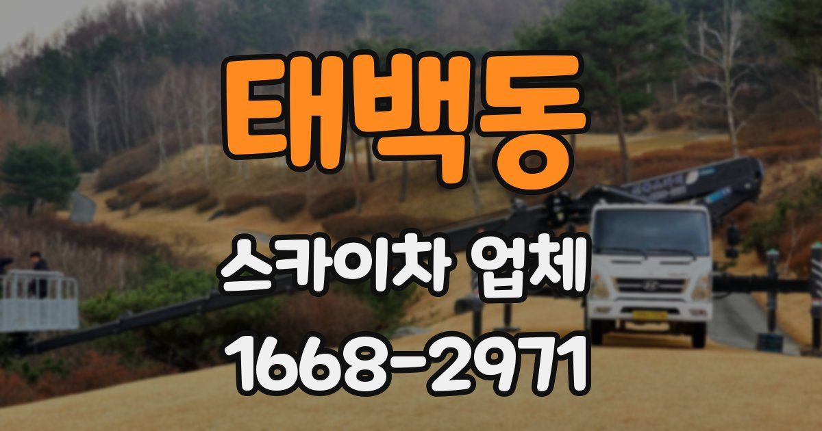 태백동 스카이차 업체