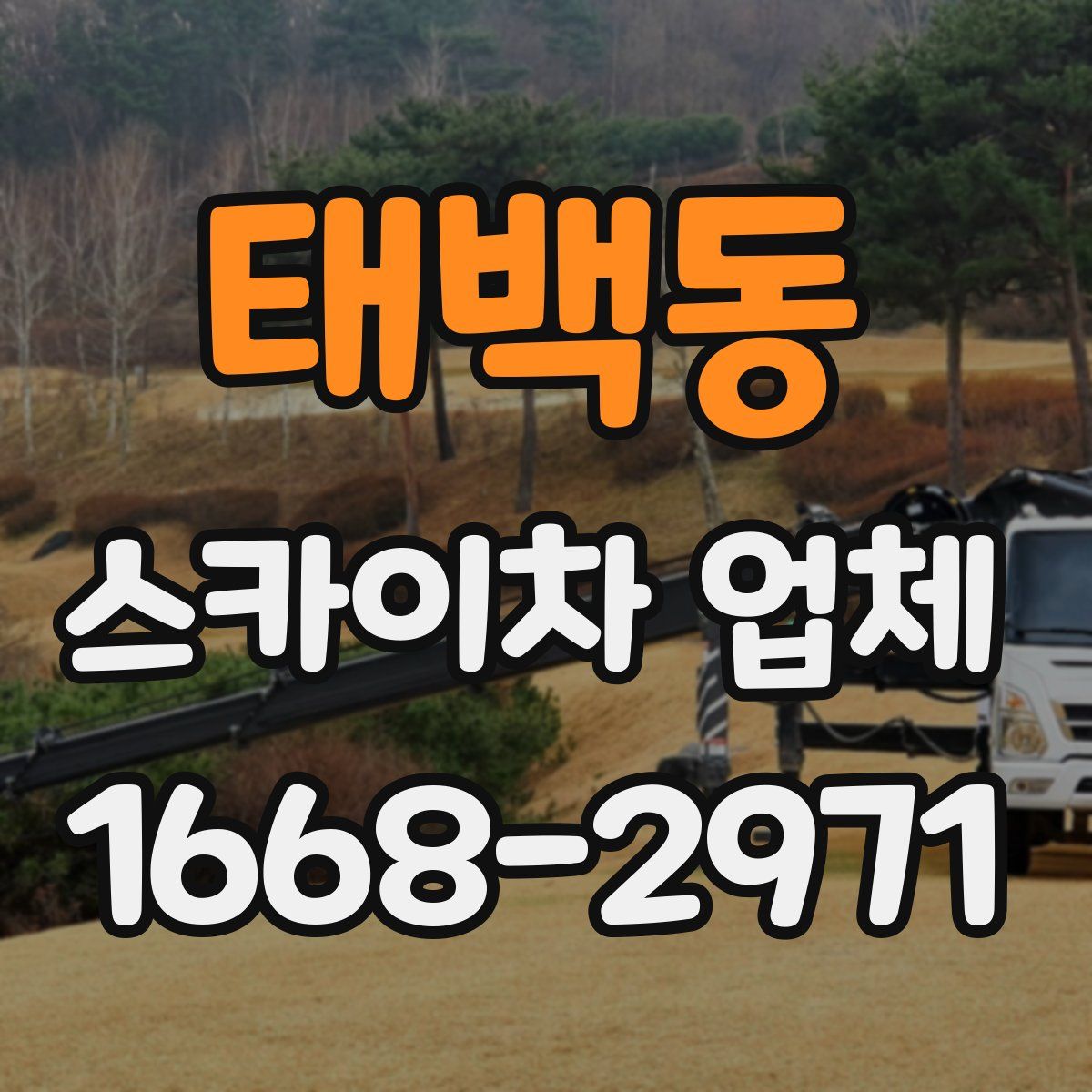 태백동 스카이차 업체