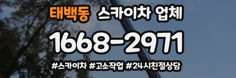 태백동 스카이차 업체