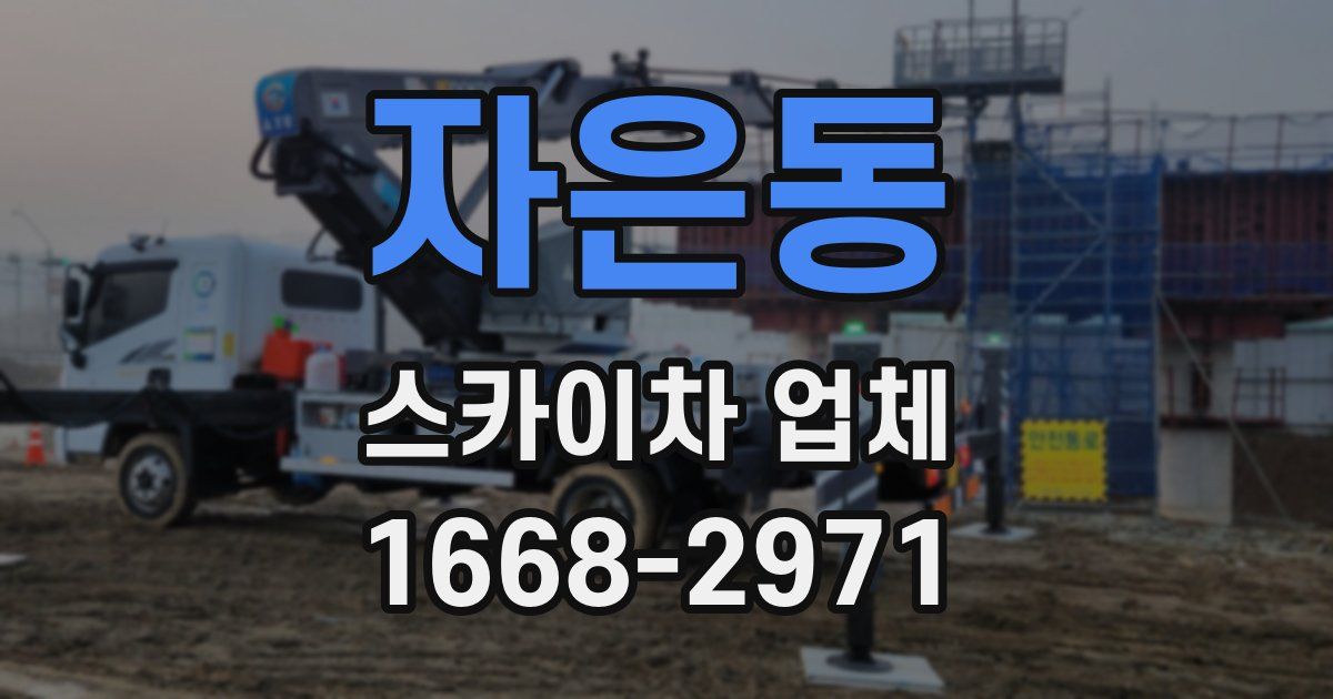 자은동 스카이차 업체