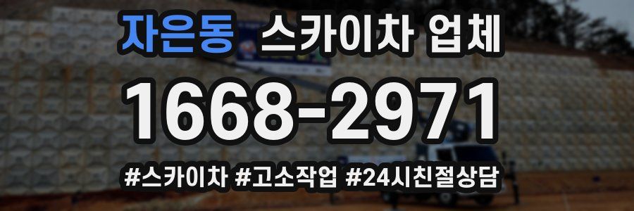 자은동 스카이차 업체