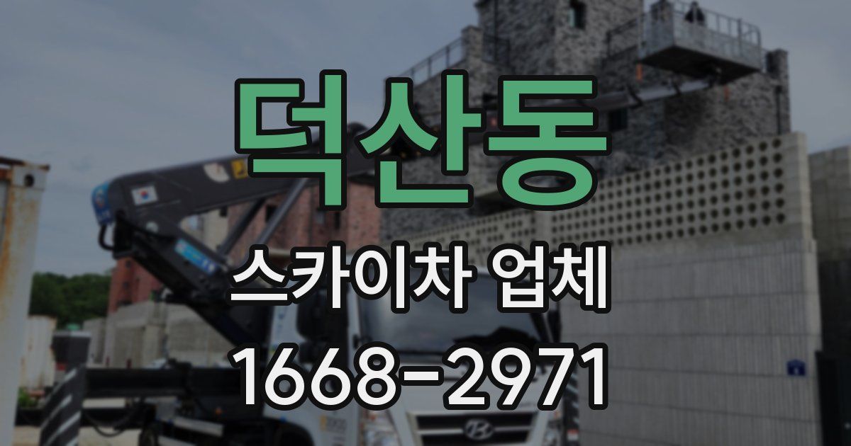 덕산동 스카이차 업체