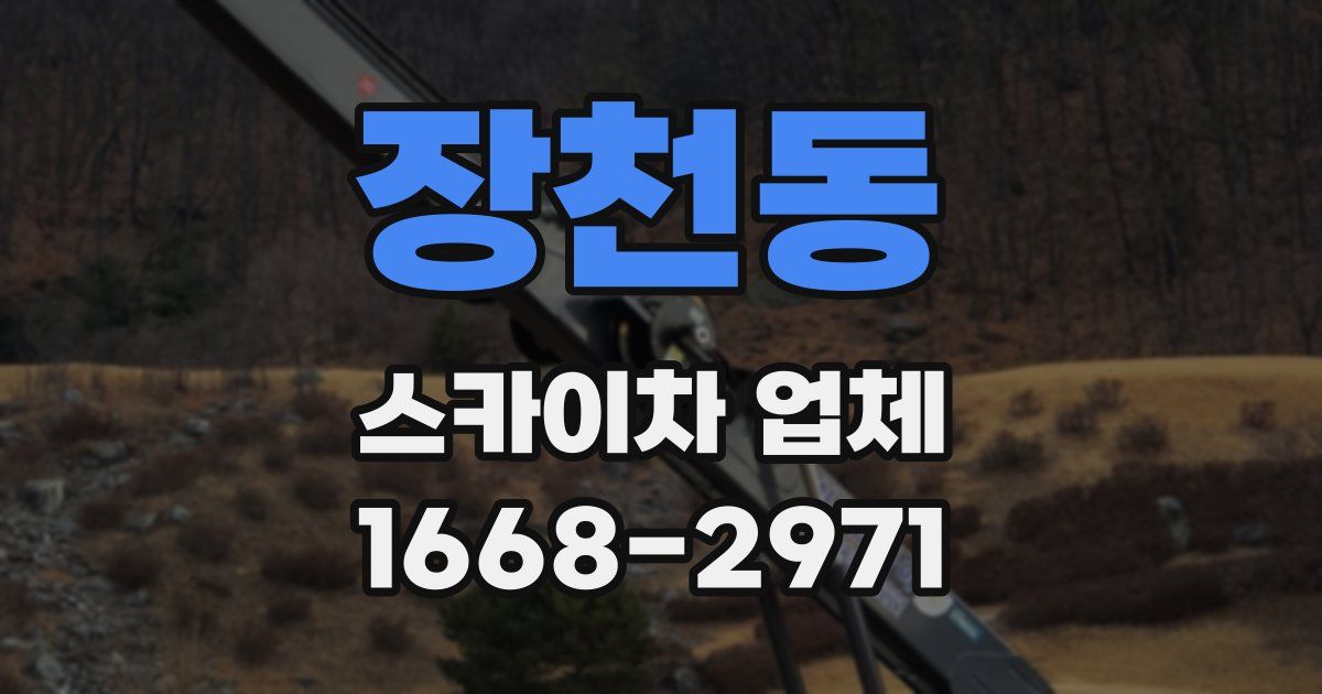 장천동 스카이차 업체