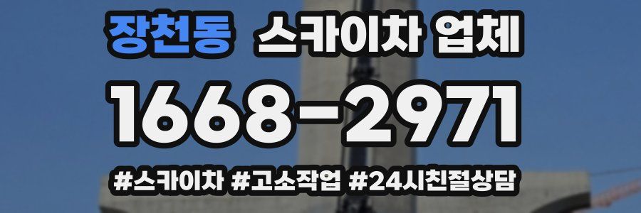 장천동 스카이차 업체