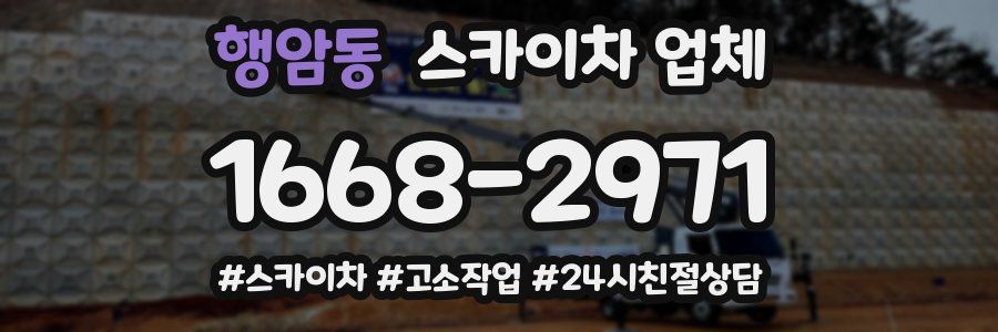 행암동 스카이차 업체