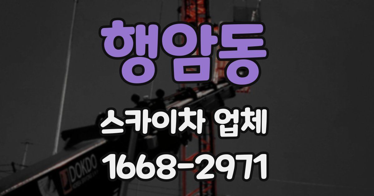행암동 스카이차 업체