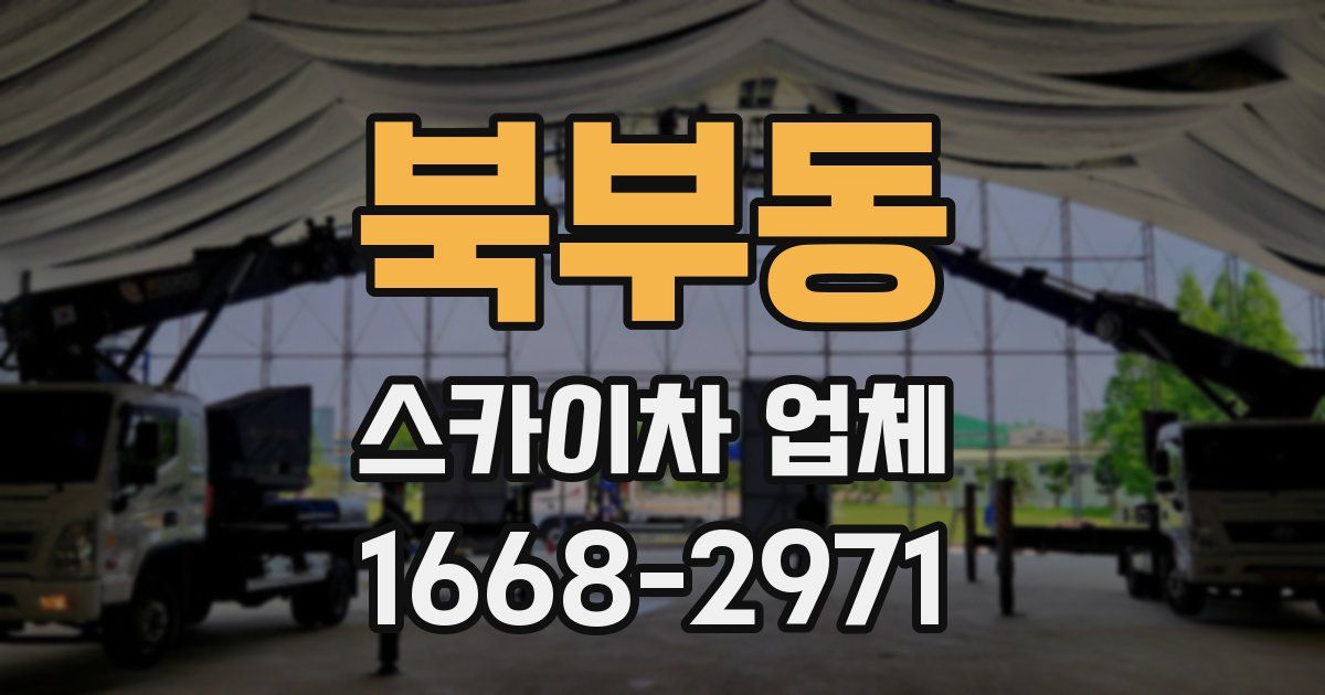 북부동 스카이차 업체