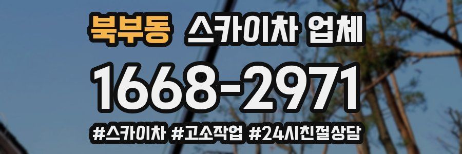 북부동 스카이차 업체