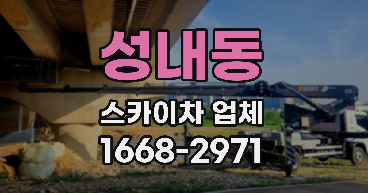 성내동 스카이차 업체