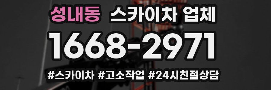 성내동 스카이차 업체