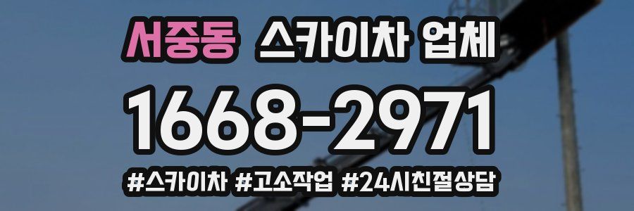 서중동 스카이차 업체