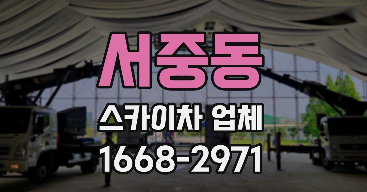 서중동 스카이차 업체