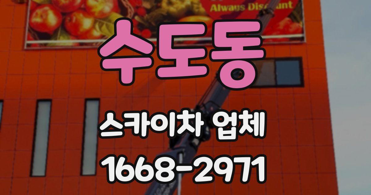 수도동 스카이차 업체