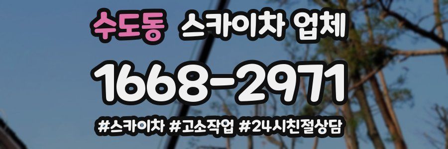 수도동 스카이차 업체