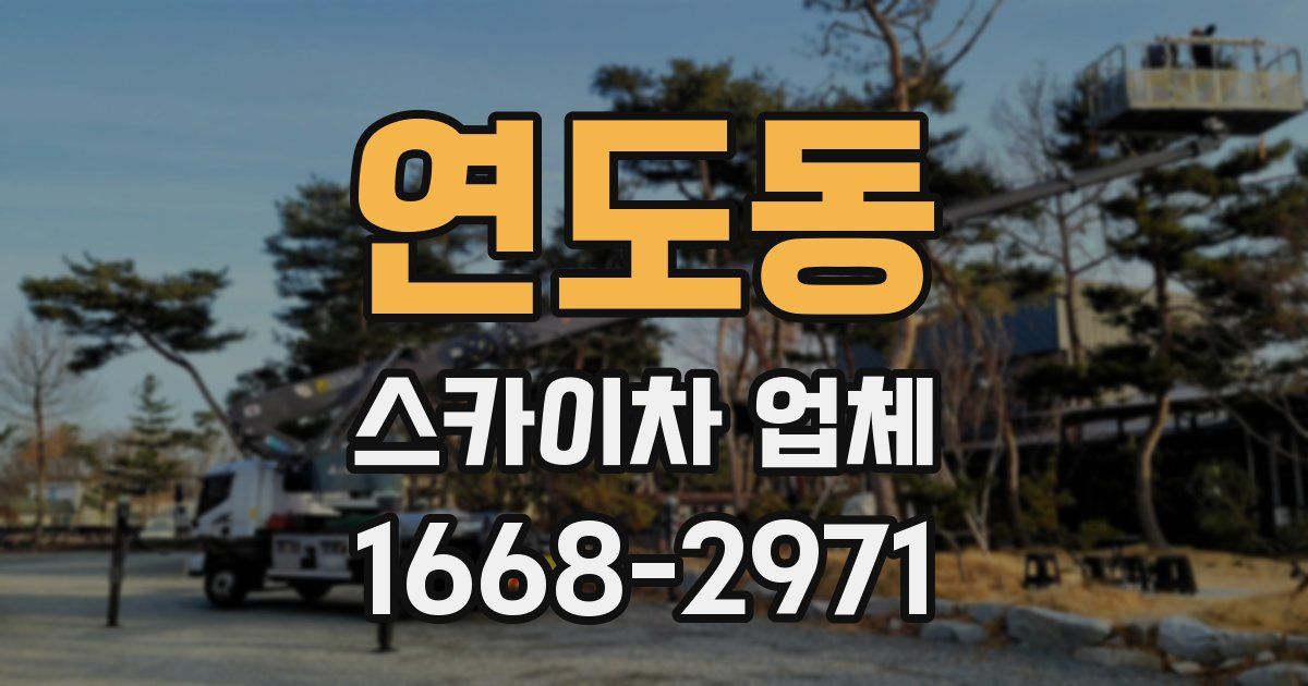 연도동 스카이차 업체