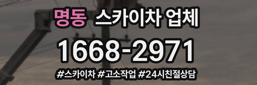 명동 스카이차 업체