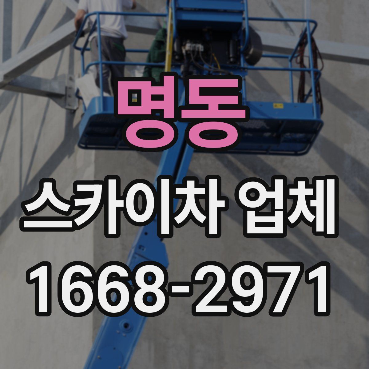 명동 스카이차 업체