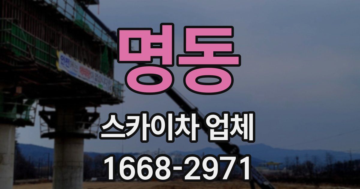 명동 스카이차 업체