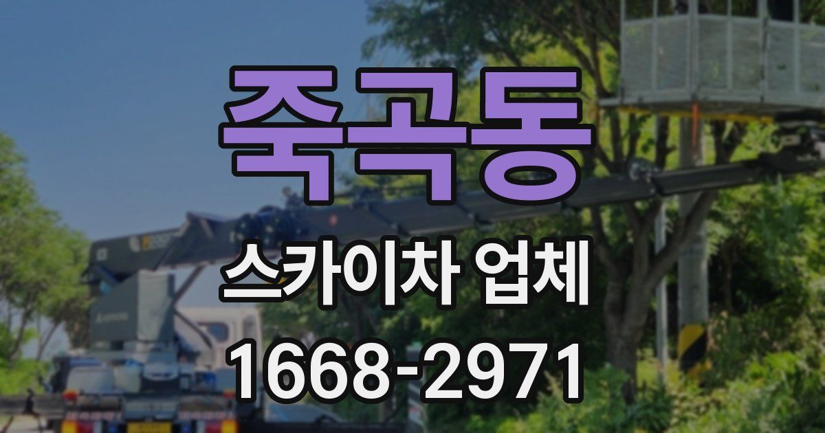 죽곡동 스카이차 업체