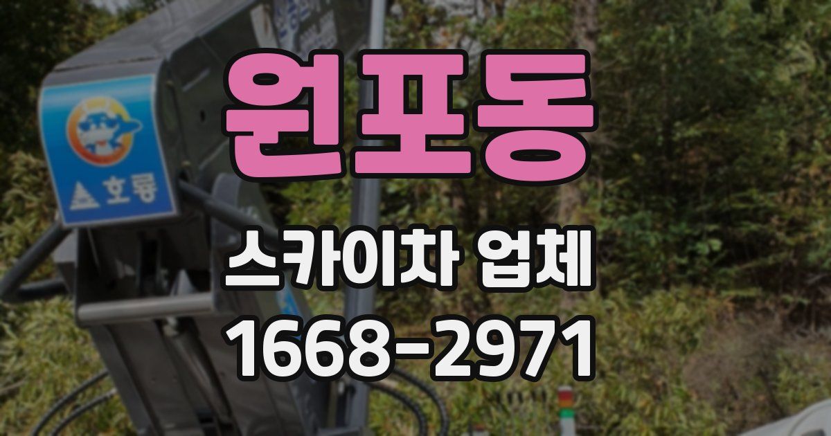 원포동 스카이차 업체