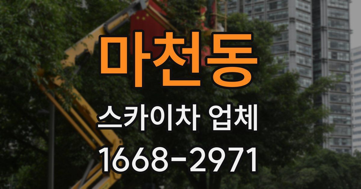 마천동 스카이차 업체
