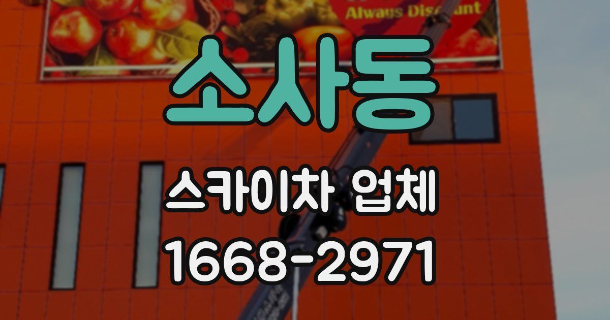 소사동 스카이차 업체