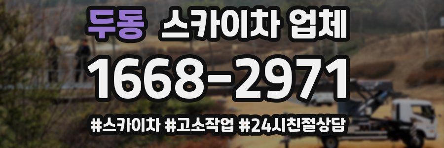 두동 스카이차 업체