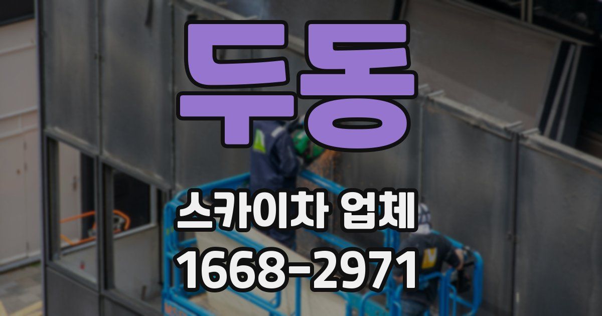 두동 스카이차 업체