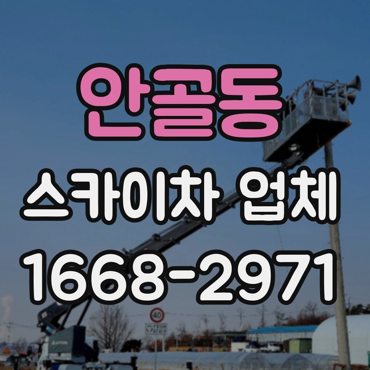 안골동 스카이차 업체