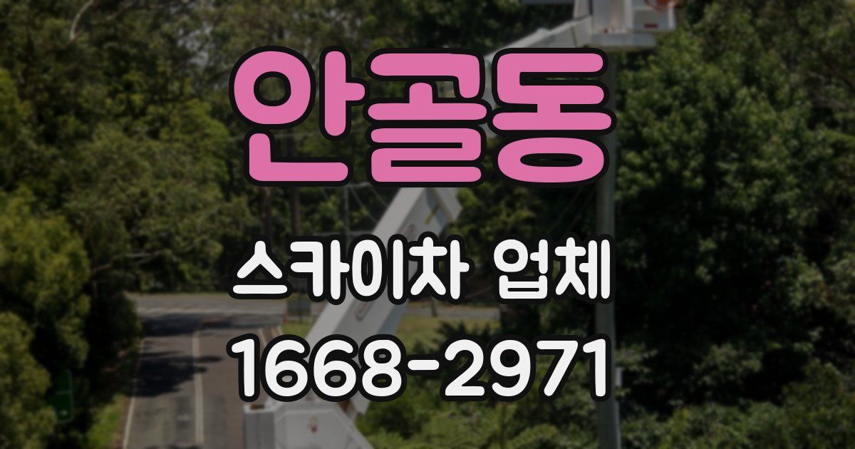 안골동 스카이차 업체