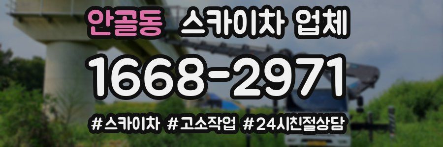 안골동 스카이차 업체