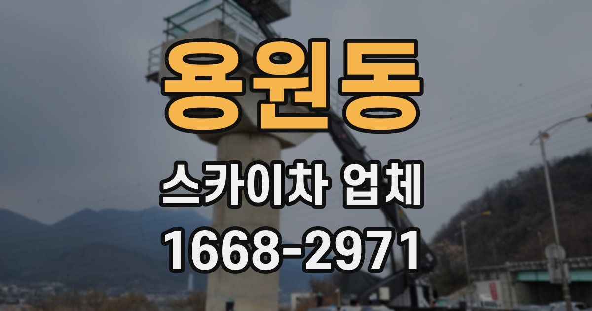 용원동 스카이차 업체