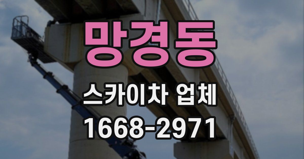 망경동 스카이차 업체