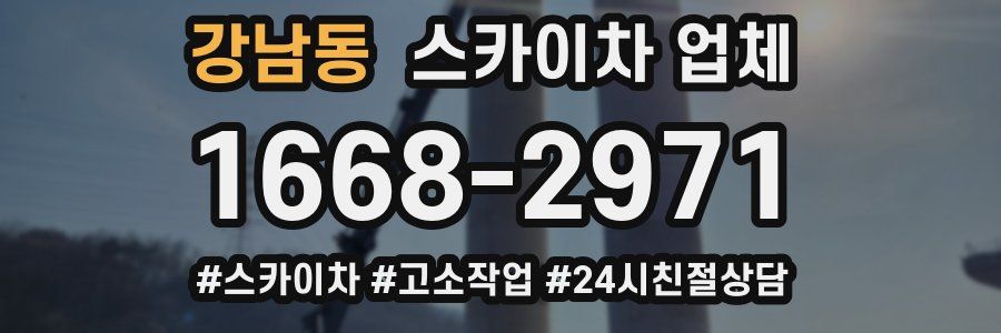 강남동 스카이차 업체