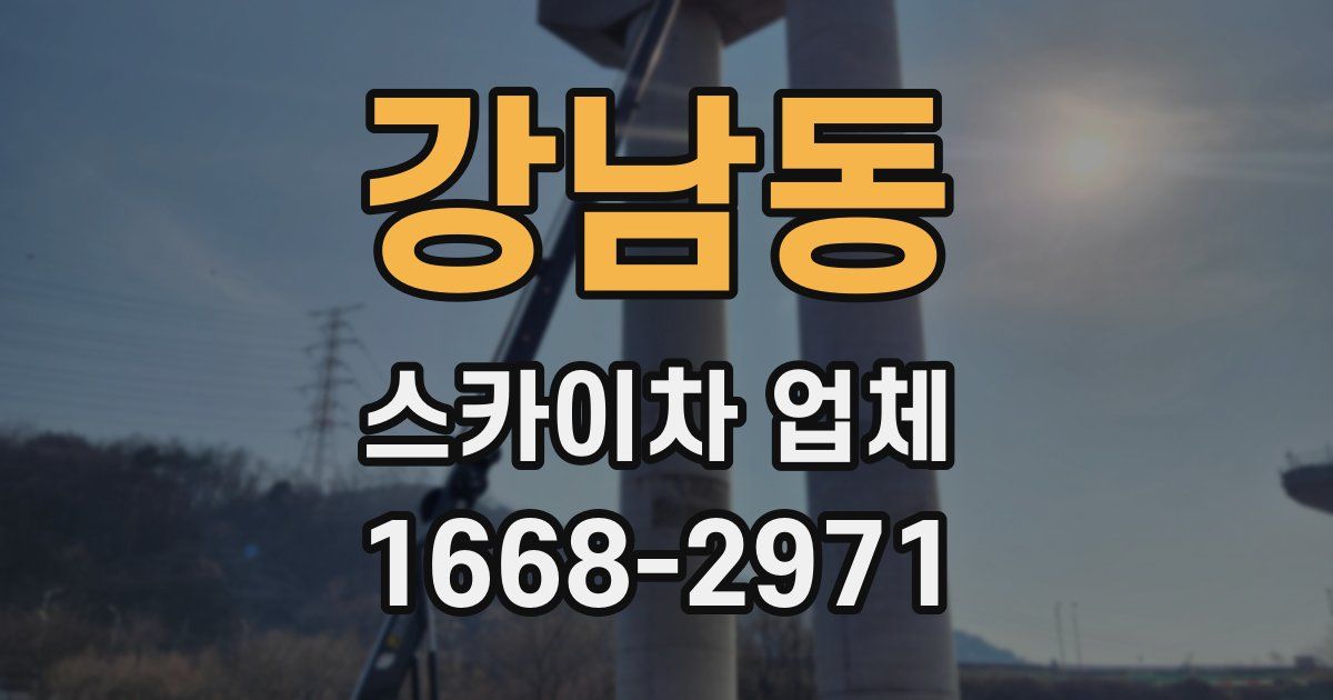 강남동 스카이차 업체
