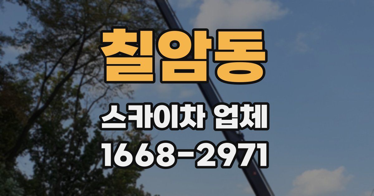 칠암동 스카이차 업체