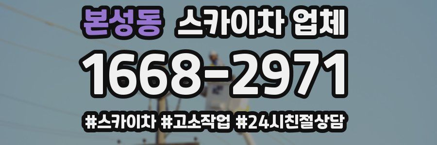 본성동 스카이차 업체