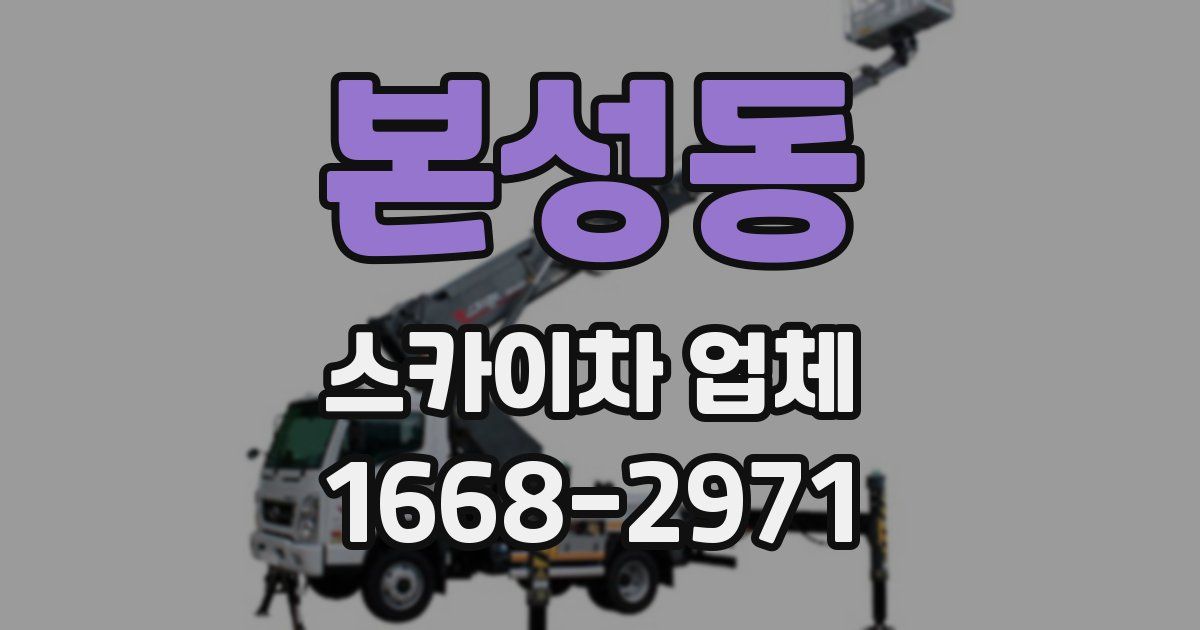 본성동 스카이차 업체