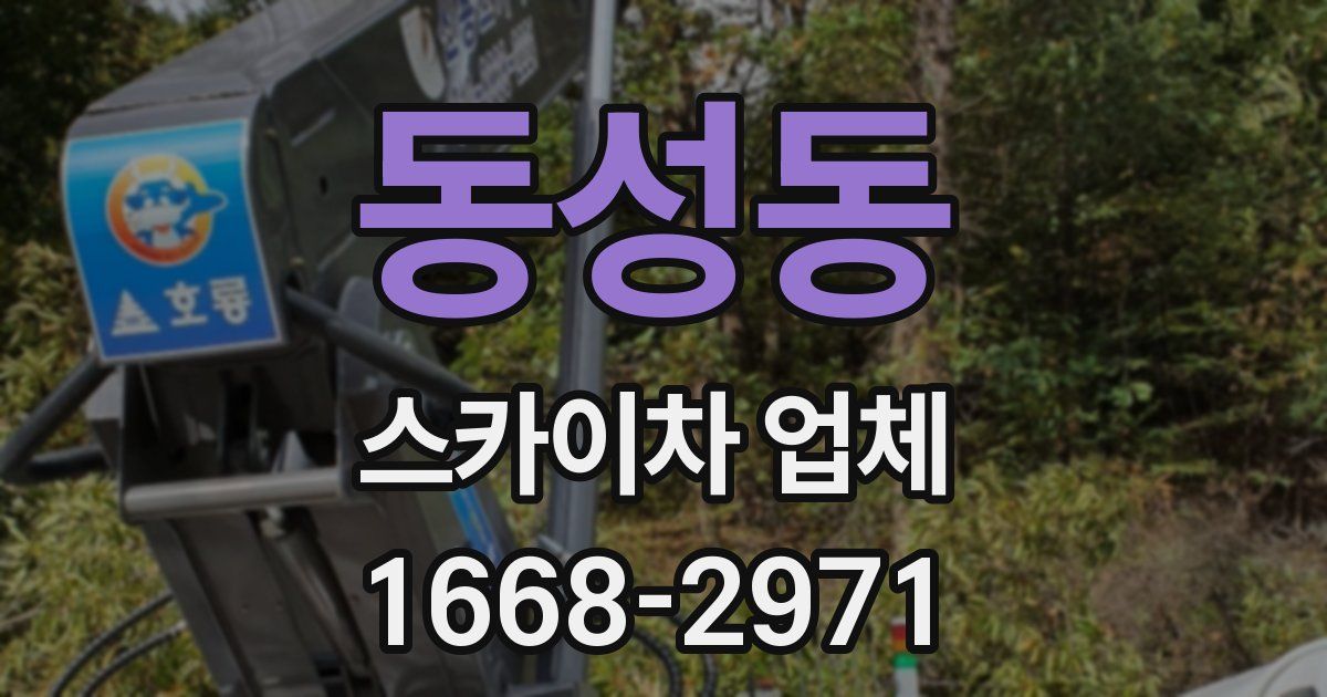 동성동 스카이차 업체
