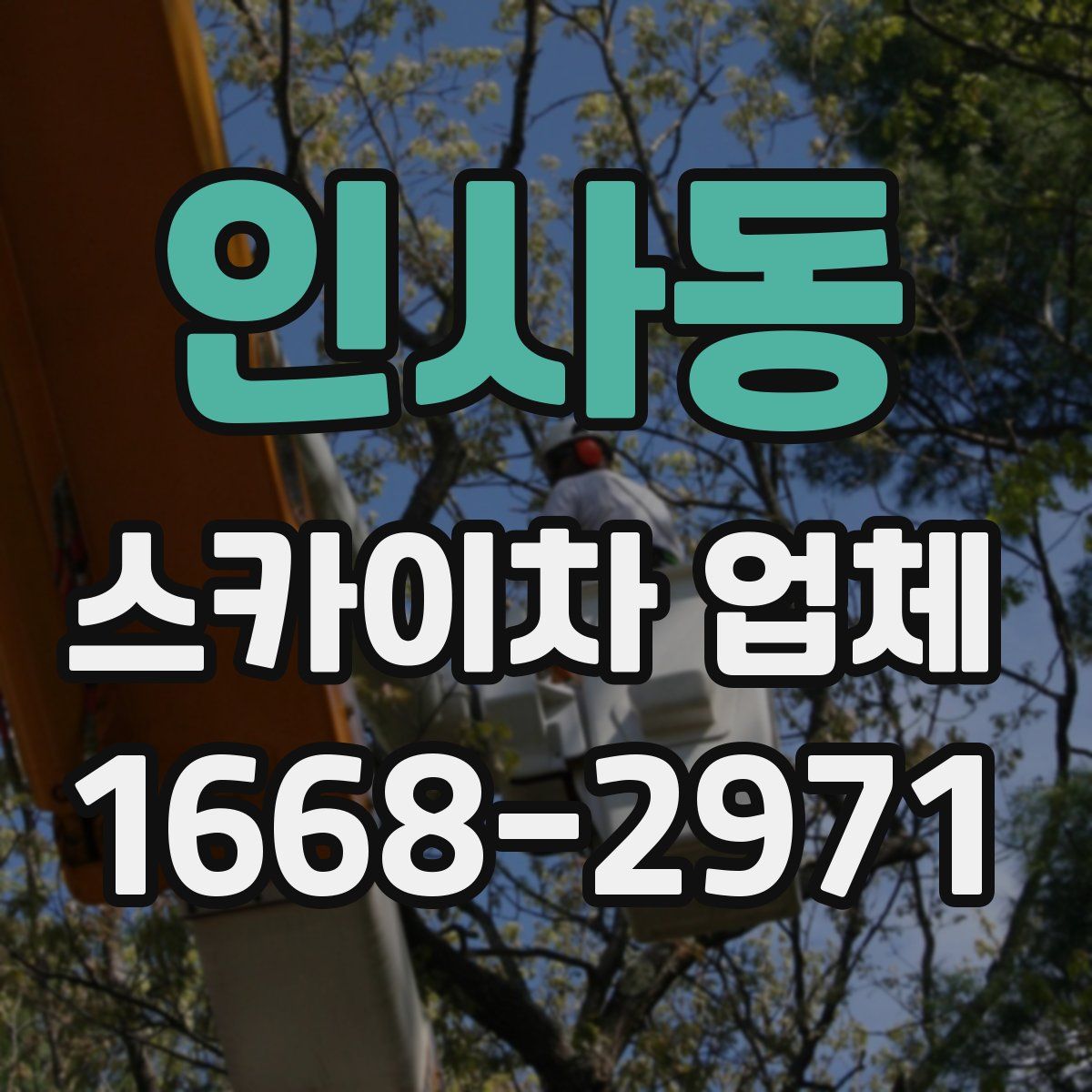 인사동 스카이차 업체