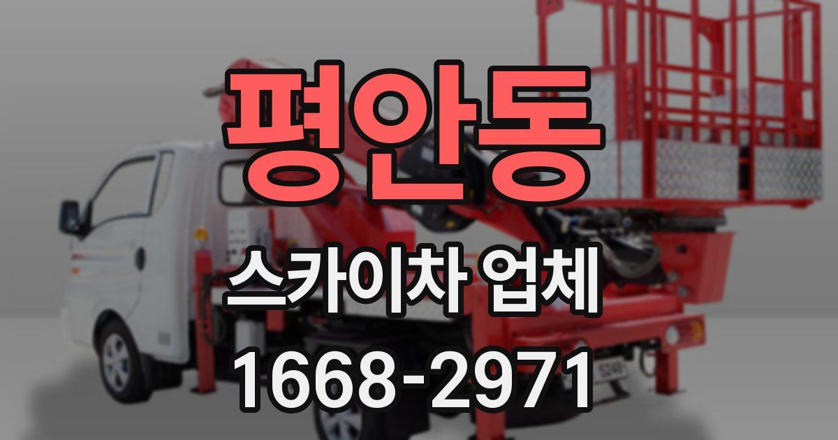 평안동 스카이차 업체